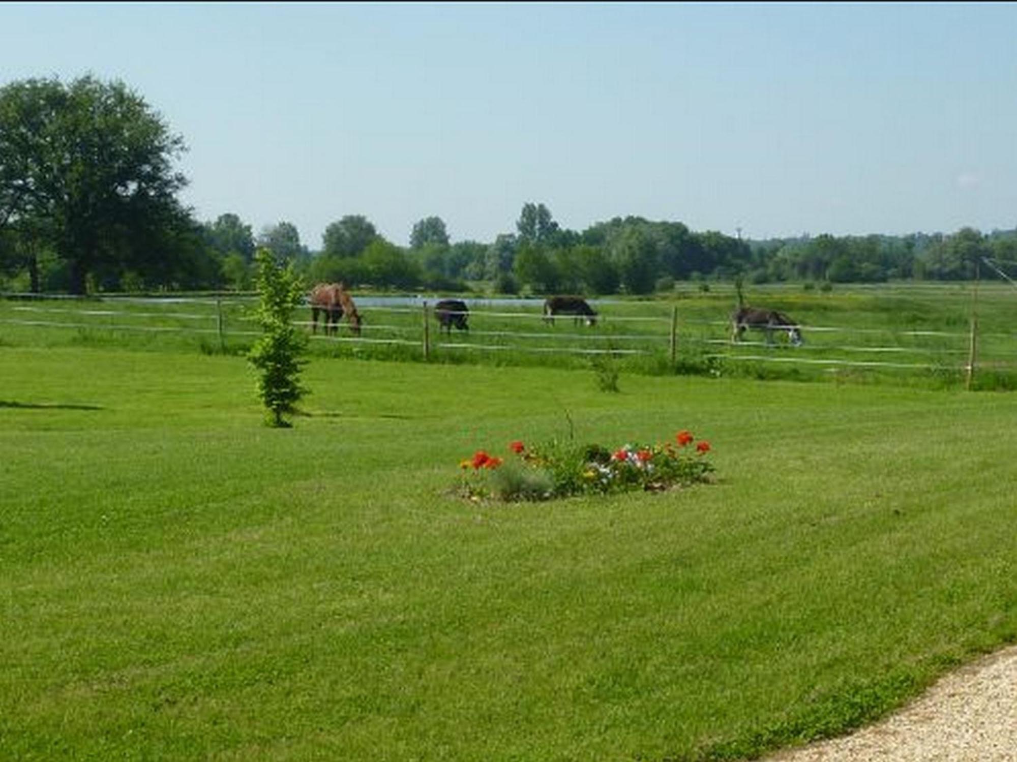 Chambres d'Hôtes de la Junchère Saint-Hilaire-de-Court Esterno foto